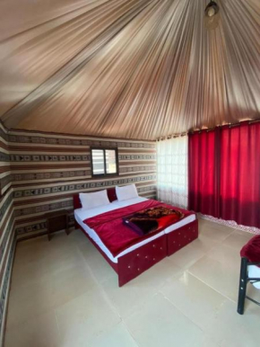 Milky Way Nights Camp